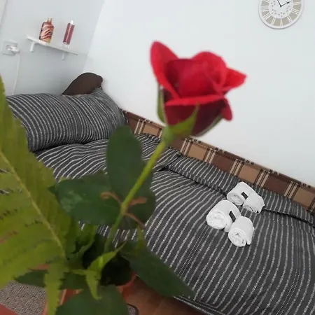 Casa Mara *